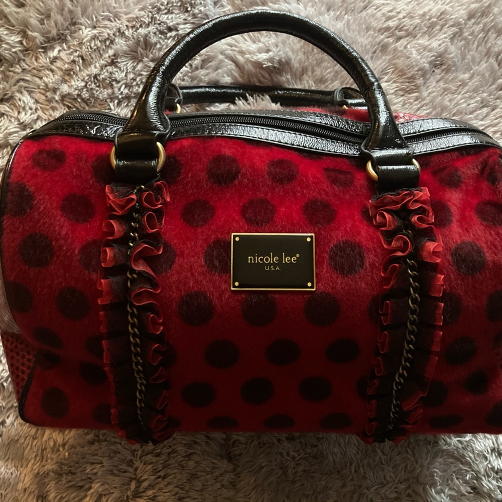 COPY - Ladybug